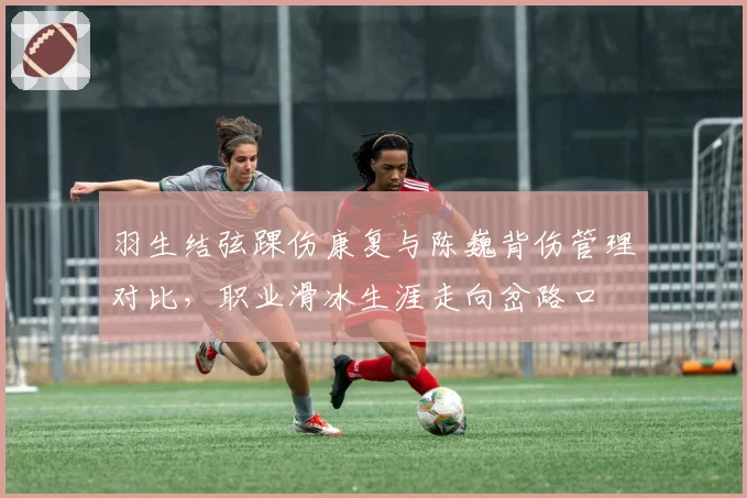 羽生结弦踝伤康复与陈巍背伤管理对比，职业滑冰生涯走向岔路口