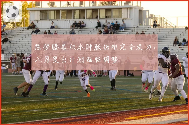 陈梦膝盖积水肿胀仍难完全发力，八月复出计划面临调整