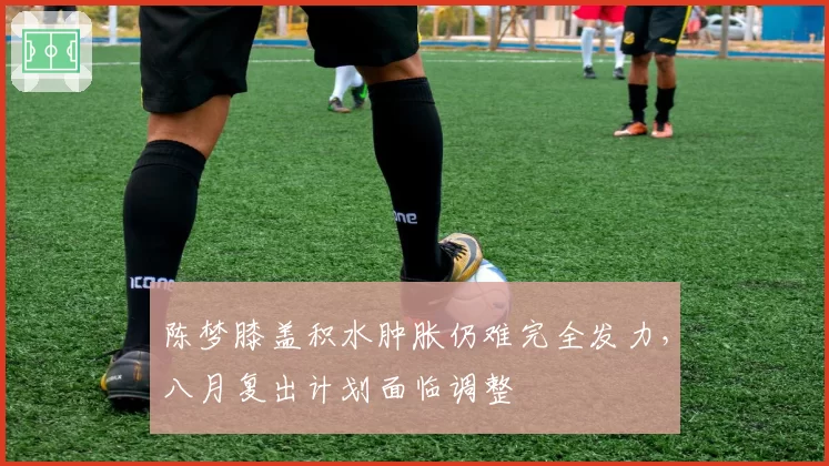 陈梦膝盖积水肿胀仍难完全发力，八月复出计划面临调整
