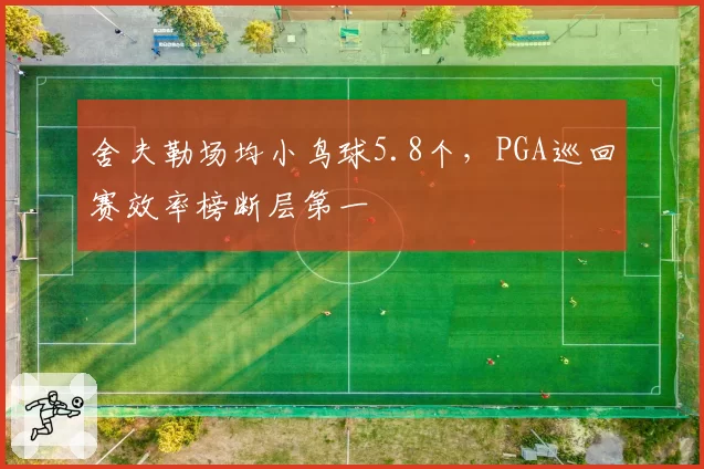 舍夫勒场均小鸟球5.8个，PGA巡回赛效率榜断层第一