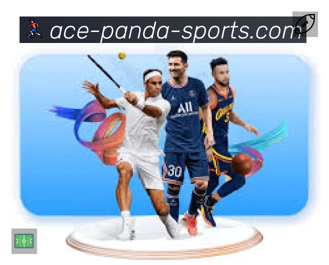 赛事回放与集锦